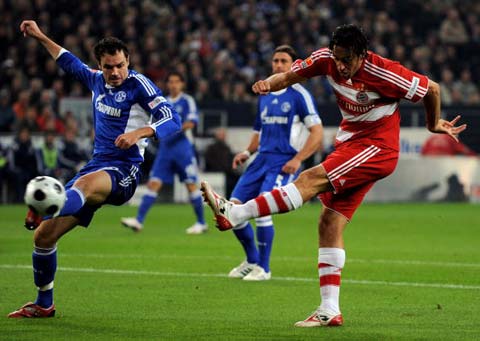 台湾新星 台湾新星